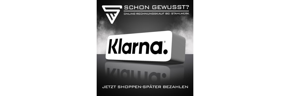 Online-Rechnungskauf bei STAHLWERK - 