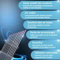 STAHLWERK Électrodes en tungstène / Électrodes de soudage WX Pink 1,6 + 2,4 mm 5 de chaque dans un set pratique de 10 pièces