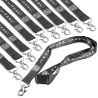 STAHLWERK Sleutelkoord set van 10 sleutelhangers | Sleutelkoord met metalen karabijnhaak