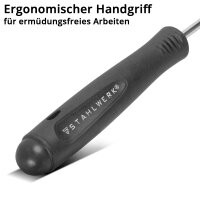 STAHLWERK Koukkutyökalusarja 4-osainen | koukkusarja | neulakoukku | tiivistyskoukku | piikkisarja | tarkkuuskoukku | O-rengastyökalu tiivistysrenkaiden irrottamiseen ja asettamiseen