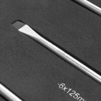 STAHLWERK Skruetrækkersæt med 21 dele PH og SL i skumindsats |Inlæg til værkstedsvogn | Værktøj af høj kvalitet i indsats til værktøjsvogn |Perfekt organisering på værkstedet