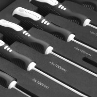 STAHLWERK Skruetrækkersæt med 21 dele PH og SL i skumindsats |Inlæg til værkstedsvogn | Værktøj af høj kvalitet i indsats til værktøjsvogn |Perfekt organisering på værkstedet