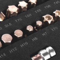 STAHLWERK Professionelt topnøglesæt med 102 dele i værkstedsvognindsats | CrV-værktøj i høj kvalitet | Værktøjsvognindsats | Perfekt organisering | Bit- og topnøglesæt til vendbare skraldenøgler