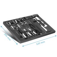 STAHLWERK Professionelt værktøjssæt med 11 dele og skumindsats til værktøjsvogn | Værktøj af høj kvalitet i værktøjsvognindsats | Inklusive tænger, hamre og mejsler